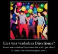 /album/fotogaleria-nosotros/armatucoso-eres-una-verdadera-directioner-715955-jpg/