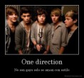 /album/fotogaleria-nosotros/desmotivaciones-mx-one-direction-no-son-gays-solo-se-aman-con-estilo-134817524275-jpg/