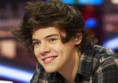 /album/fotogaleria-nosotros/harry-styles-gasto-mas-de-1000-euros-en-una-casa-de-antiguedades-jpg/